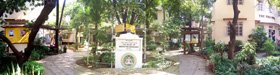 The Yoga Institute